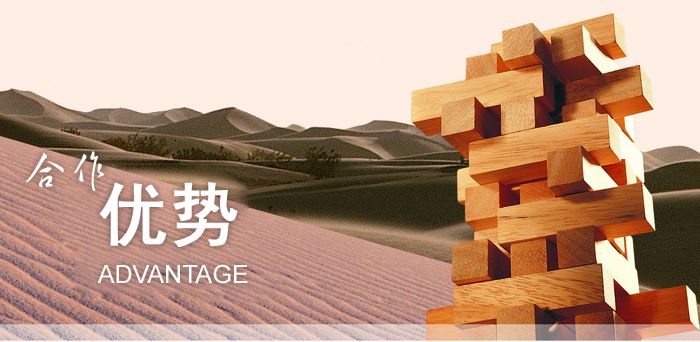 探討：小型網絡公司如何經營