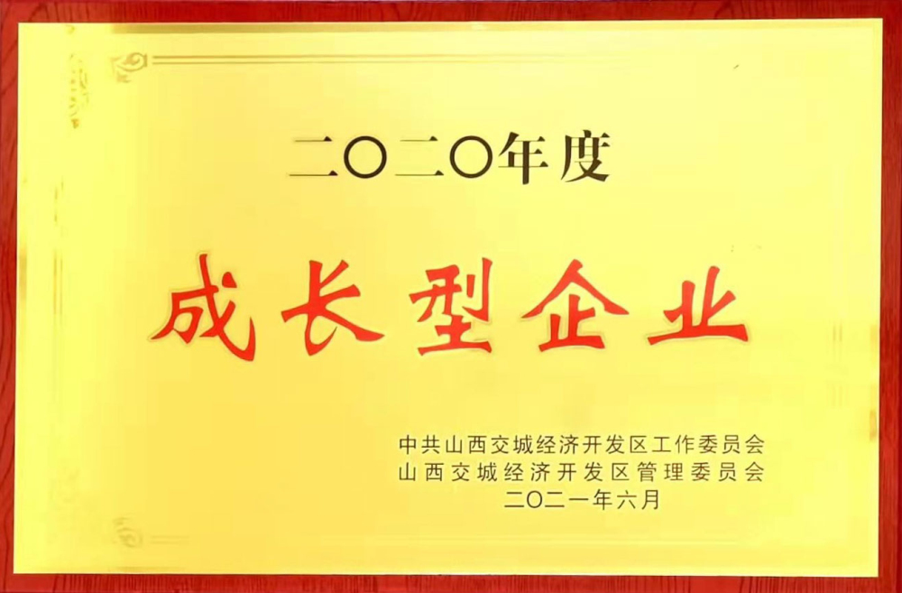 2020年度成長(zhǎng)型企業(yè)